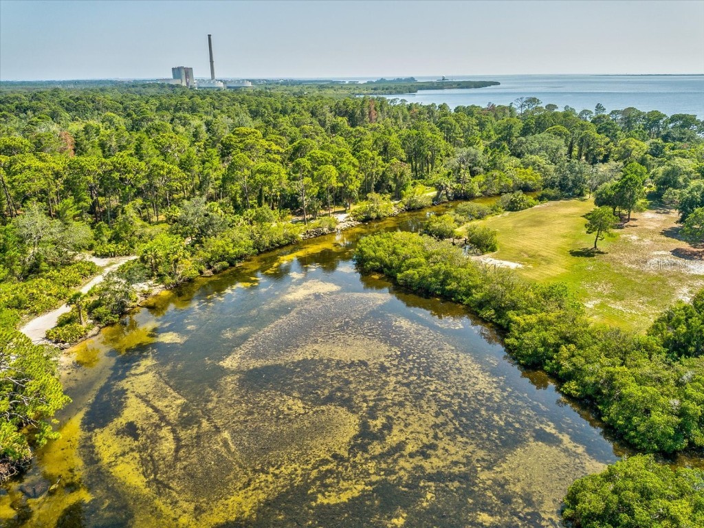 3426 Kimberly Oaks Drive Holiday FL 34691 TB8431322 image36