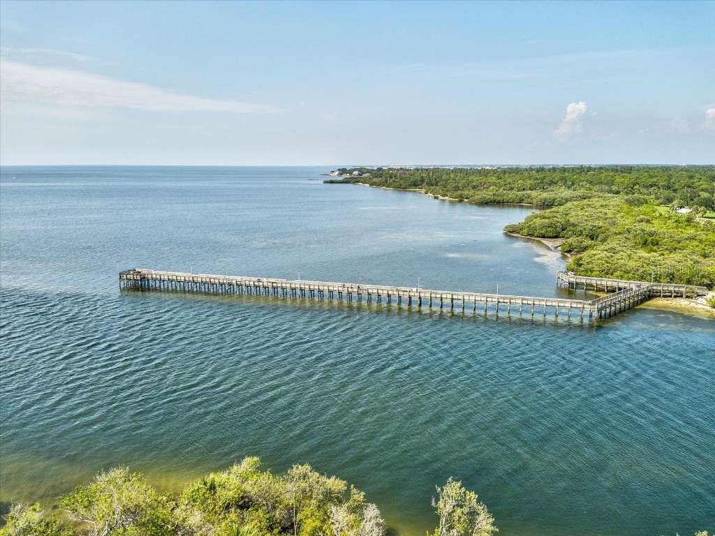 3426 Kimberly Oaks Drive Holiday FL 34691 TB8431322 image51