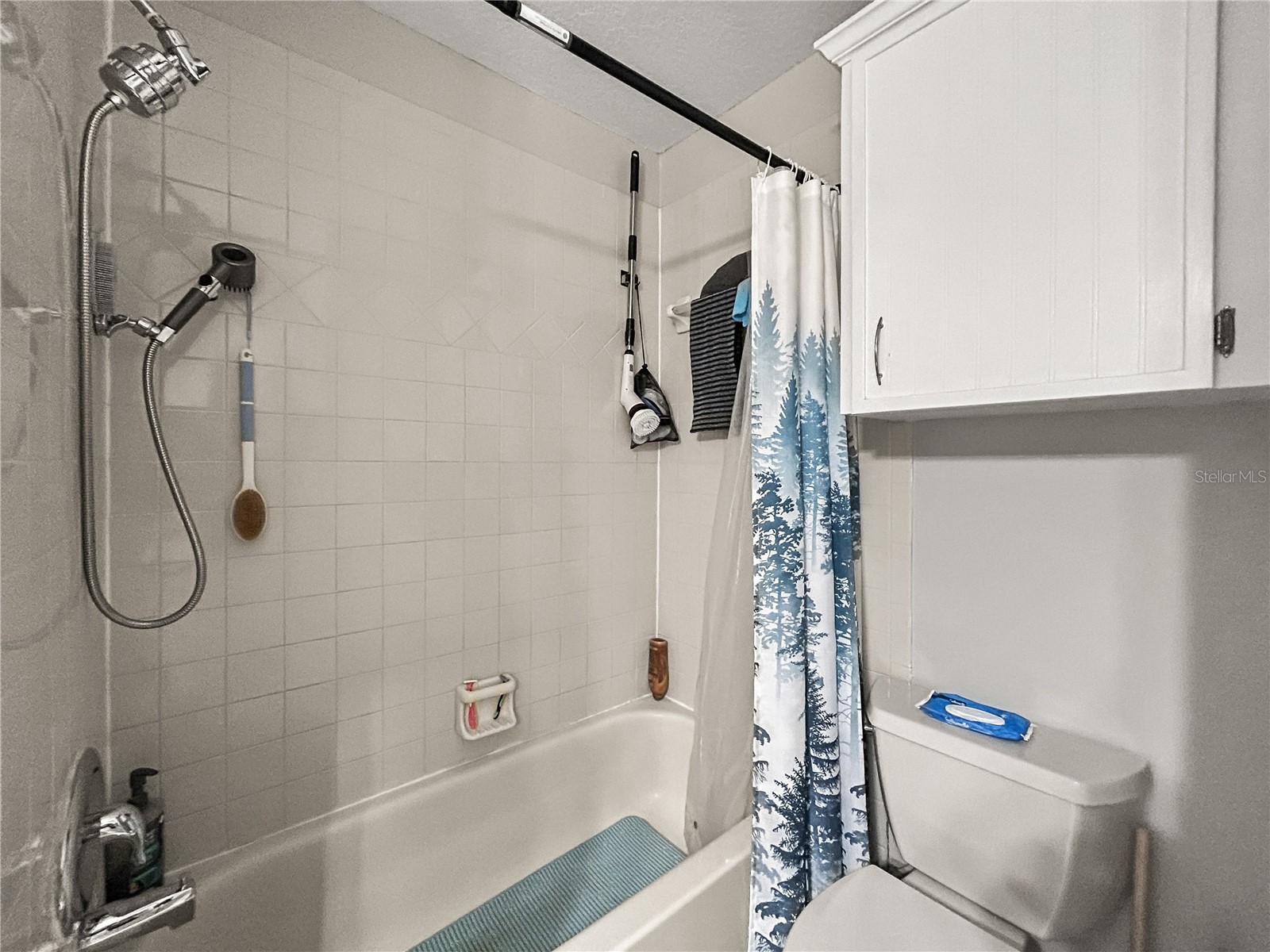3426 Laurel Dale Drive Tampa FL 33618 TB8515914 image16