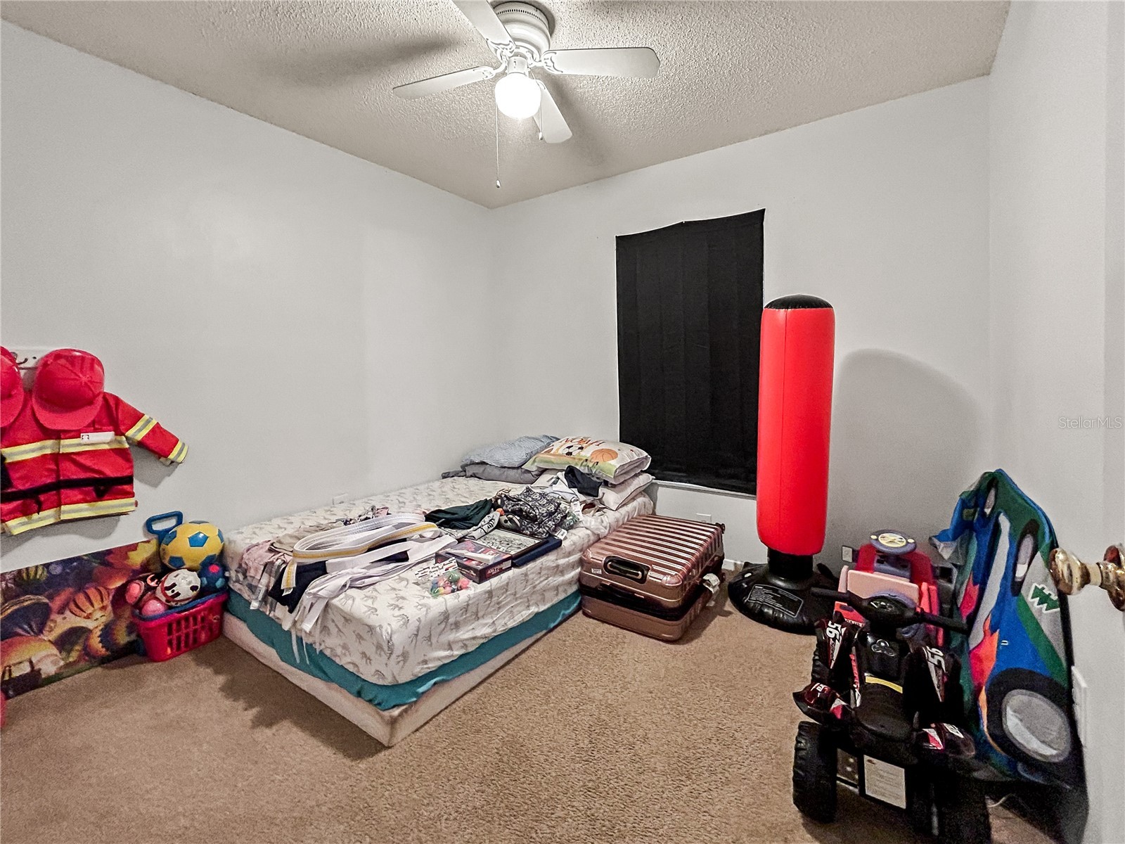 3426 Laurel Dale Drive Tampa FL 33618 TB8515914 image17