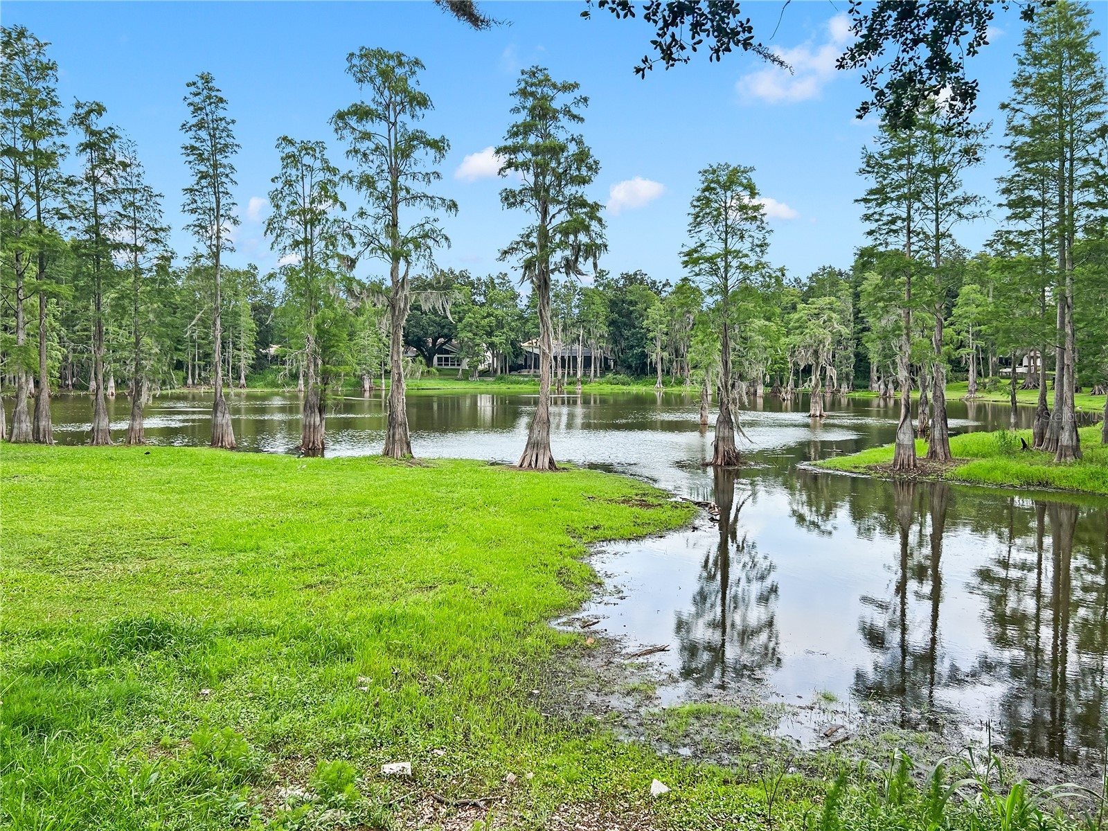 3426 Laurel Dale Drive Tampa FL 33618 TB8515914 image35
