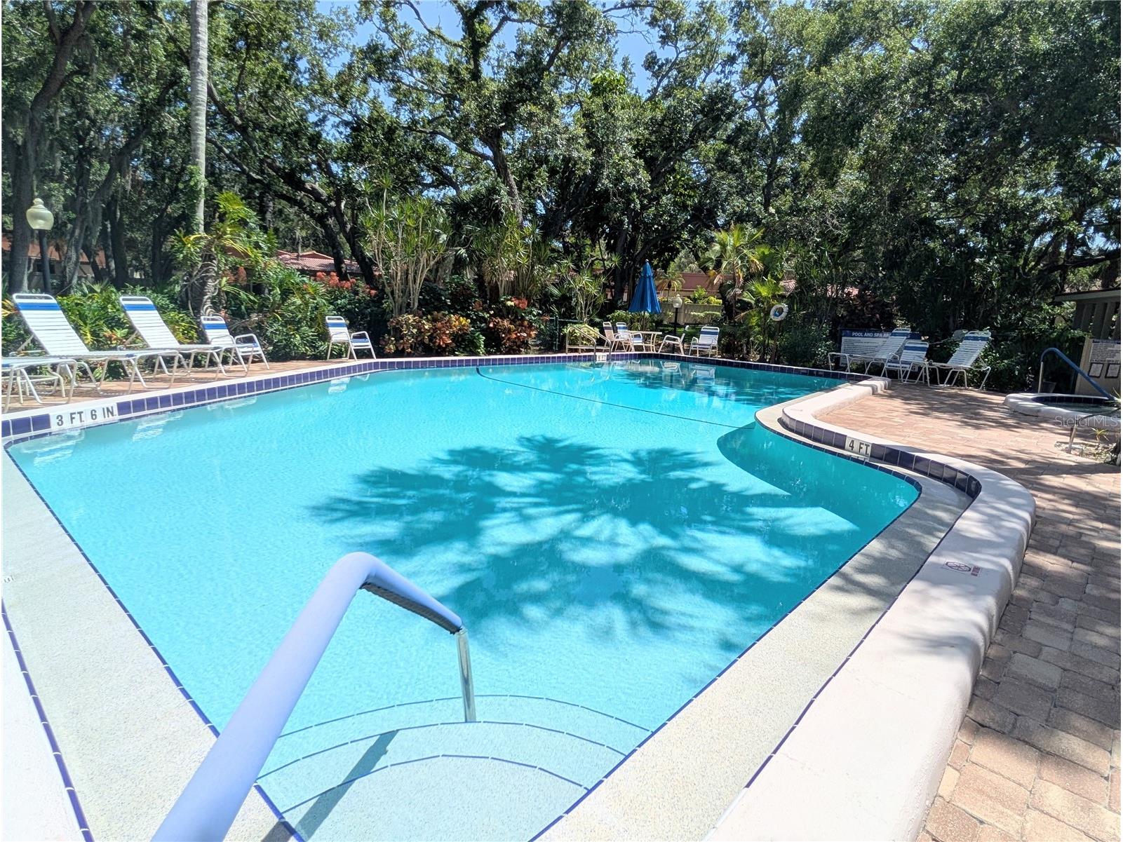 3426 Wood Owl Circle #73B Bradenton FL 34210 A4699193 image56