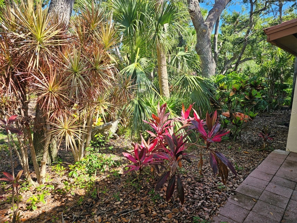 3426 Wood Owl Circle Bradenton FL 34210 A4656648 image32