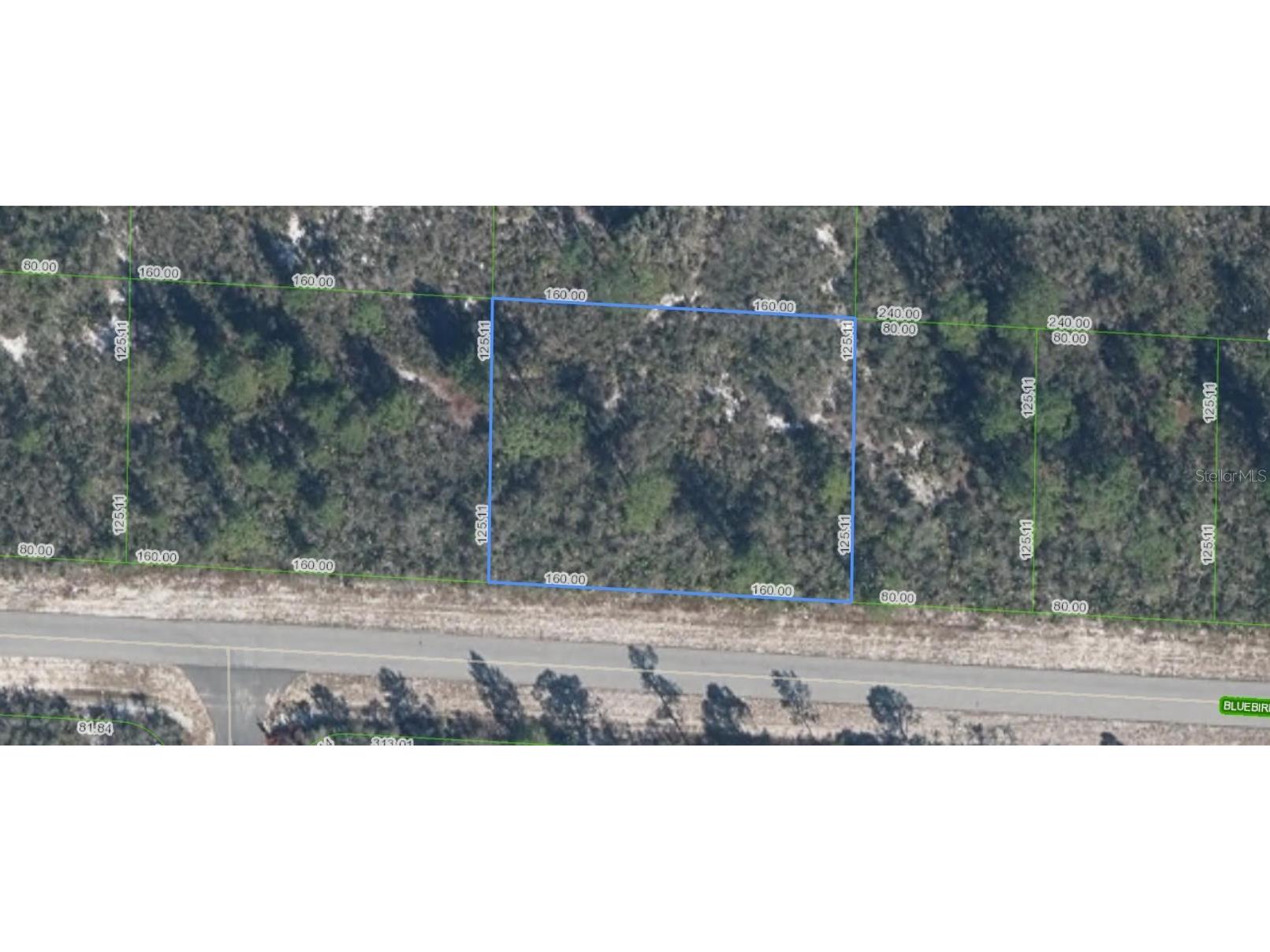 3427 Bluebird Avenue Lake Placid FL 33852 A4696544 image1
