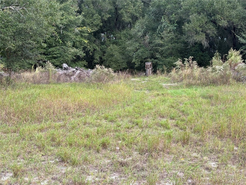 3427 Golden Gem Road Apopka FL 32712 G5104866 image6