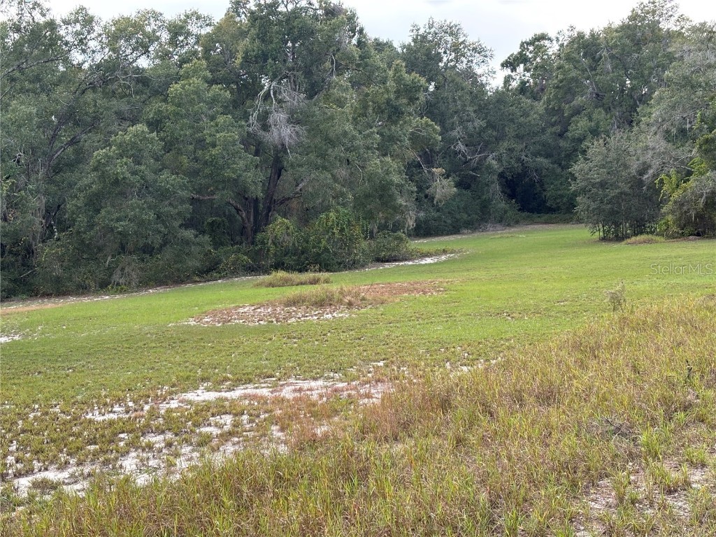 3427 Golden Gem Road Apopka FL 32712 G5104866 image9