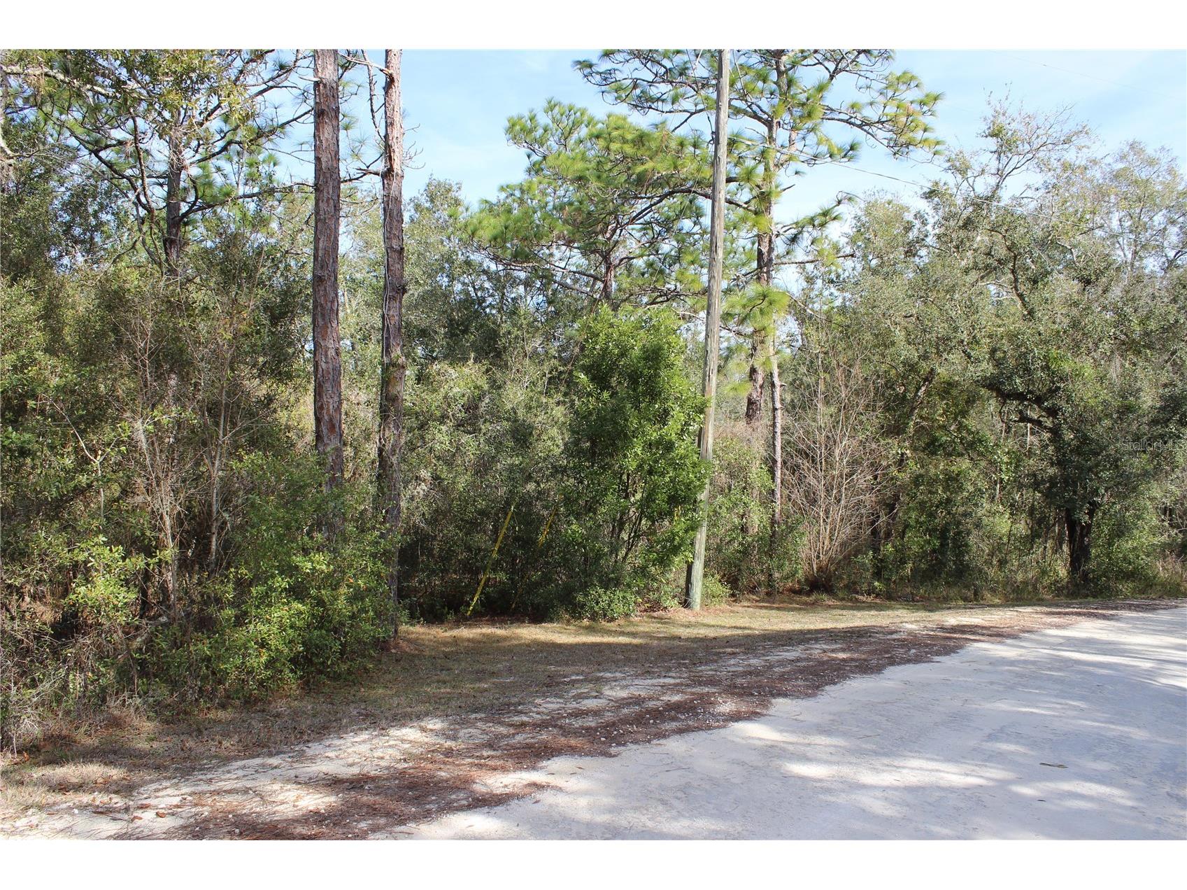 34273 Belt Drive Dade City FL 33523 W7881851 image1