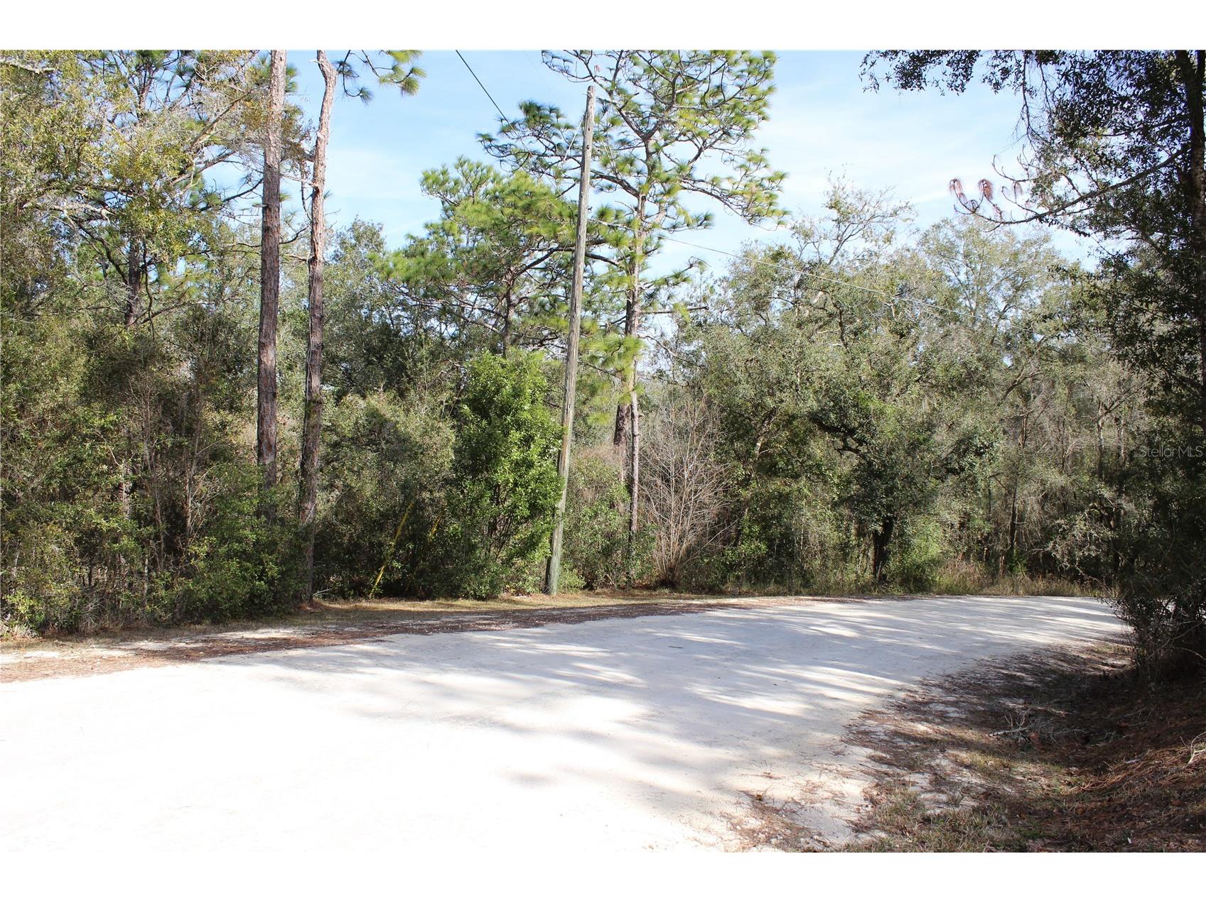 34273 Belt Drive Dade City FL 33523 W7881851 image5