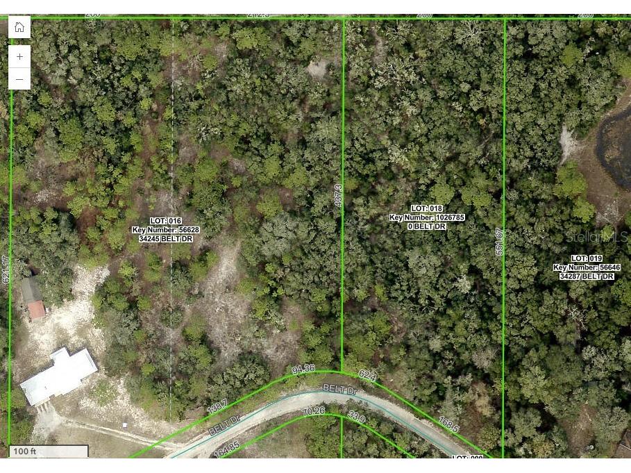 34273 Belt Drive Dade City FL 33523 W7881851 image6