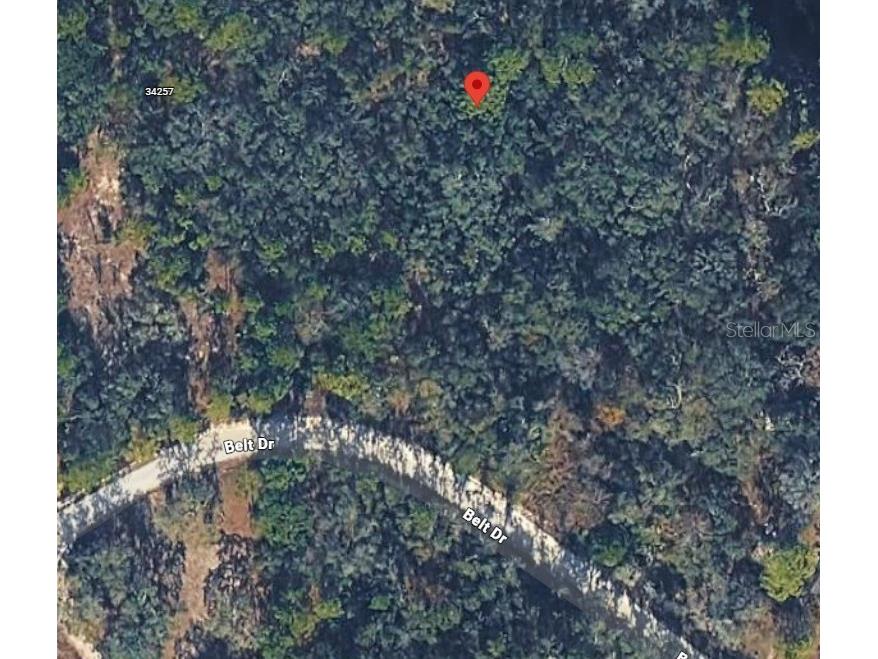 34273 Belt Drive Dade City FL 33523 W7881851 image7