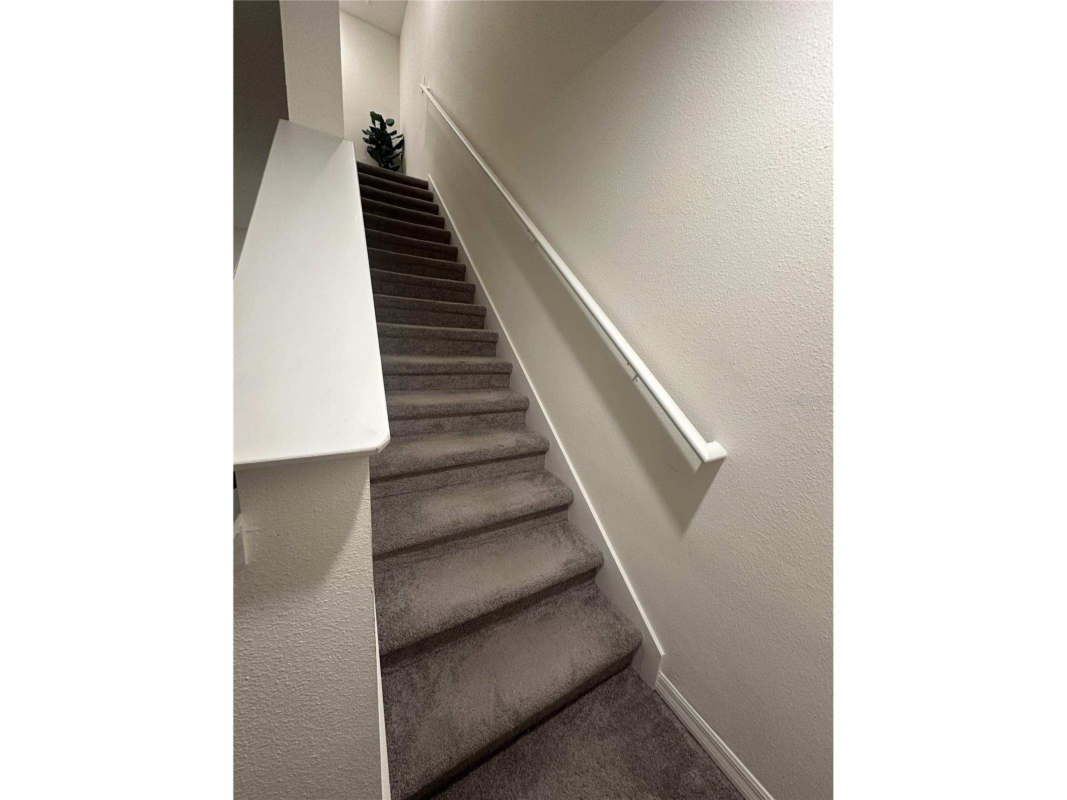 34276 Redwood Dawn Lane Wesley Chapel FL 33543 TB8487142 image11