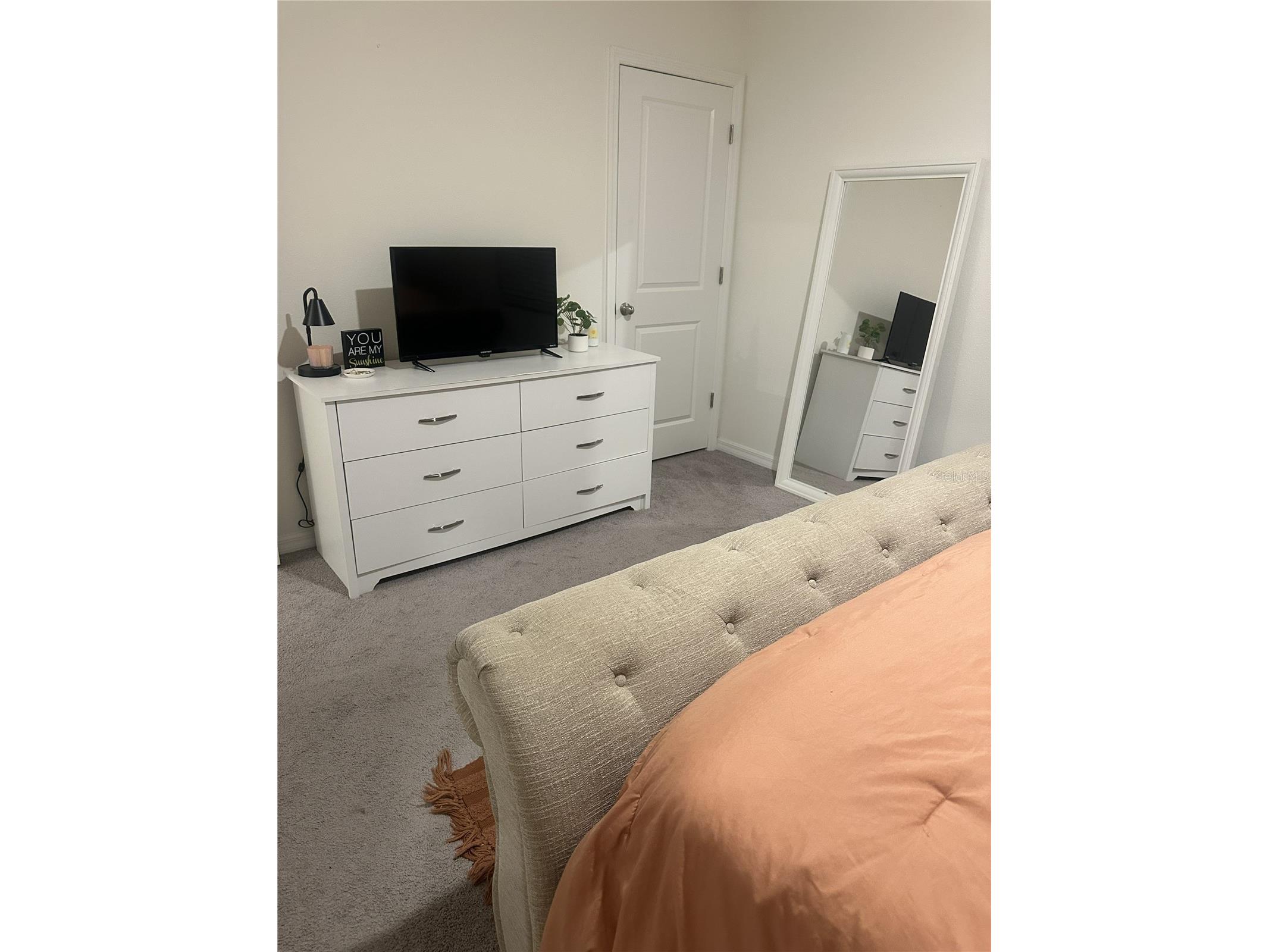 34276 Redwood Dawn Lane Wesley Chapel FL 33543 TB8487142 image13