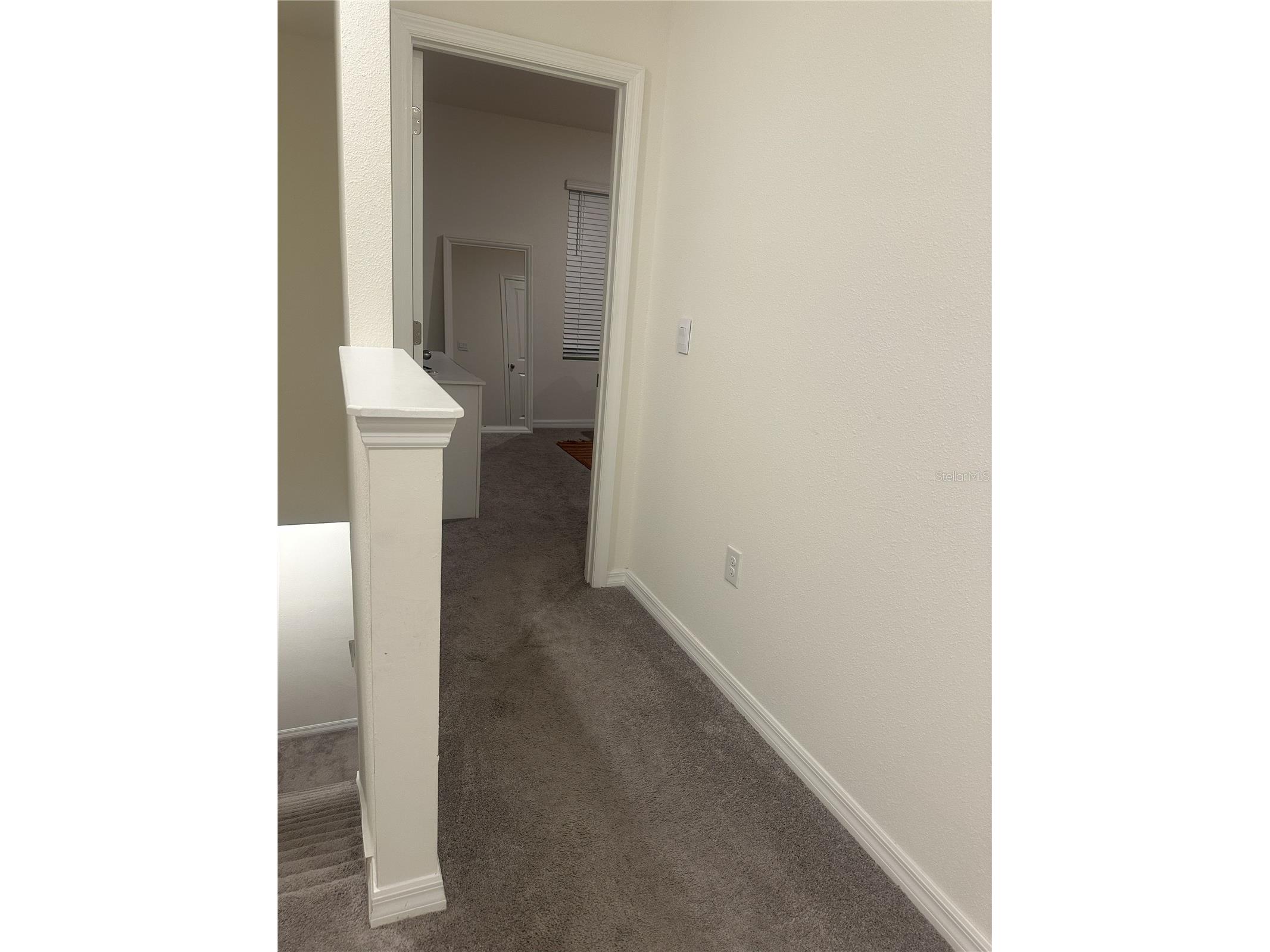 34276 Redwood Dawn Lane Wesley Chapel FL 33543 TB8487142 image16