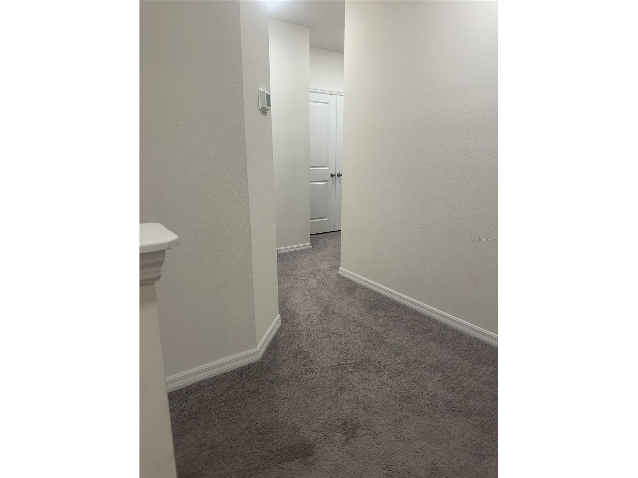 34276 Redwood Dawn Lane Wesley Chapel FL 33543 TB8487142 image18