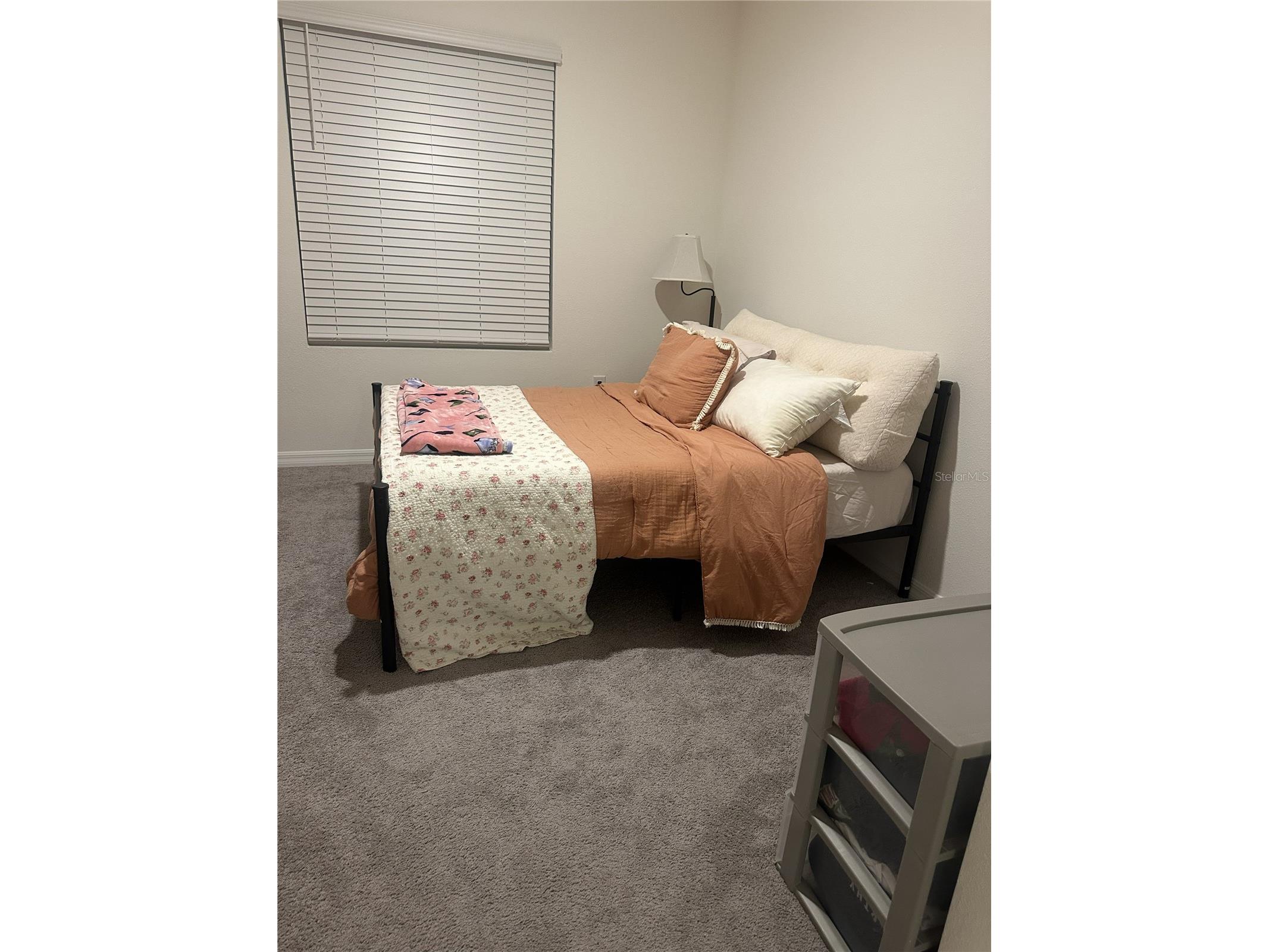 34276 Redwood Dawn Lane Wesley Chapel FL 33543 TB8487142 image19