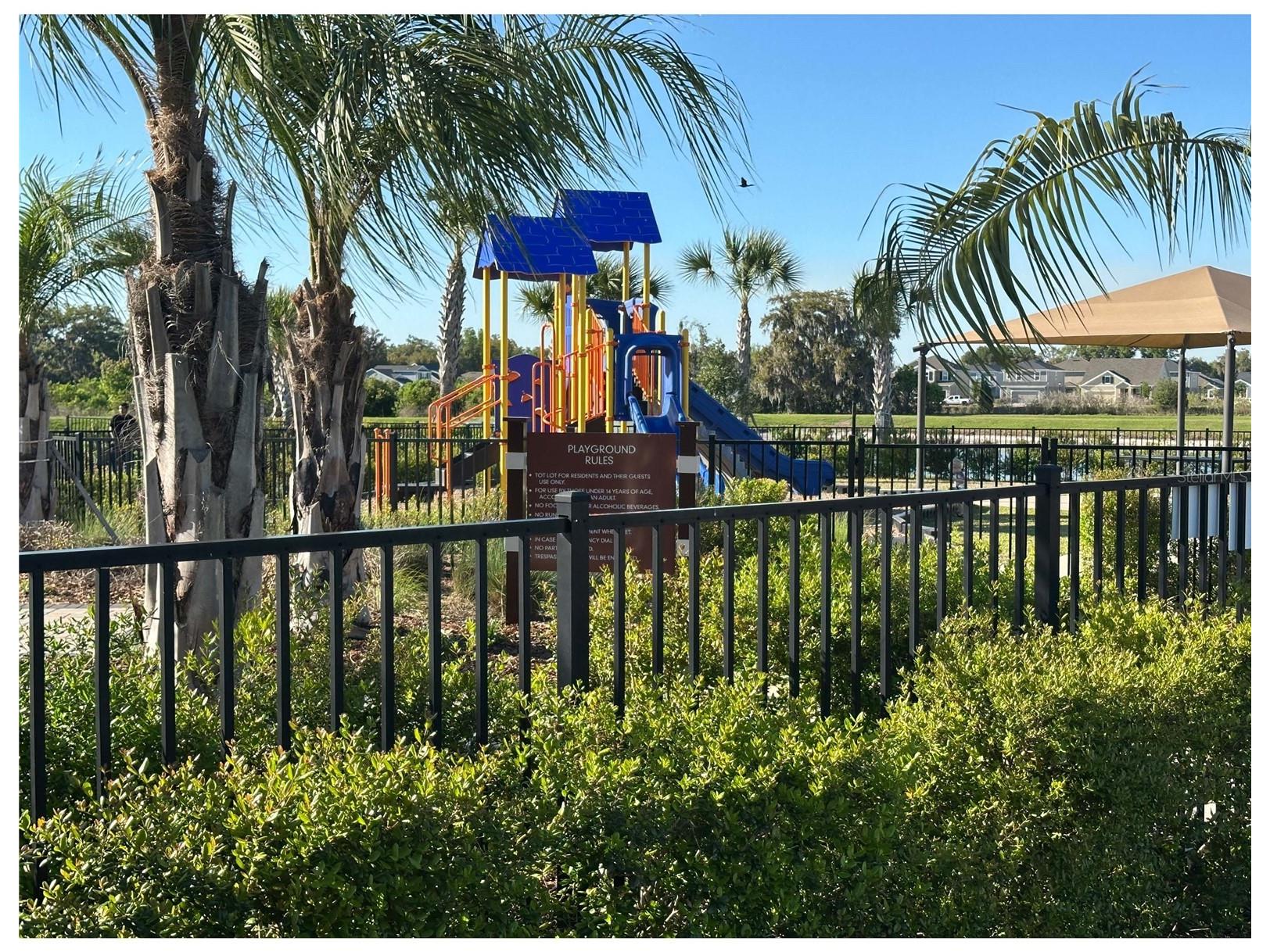 34276 Redwood Dawn Lane Wesley Chapel FL 33543 TB8487142 image28