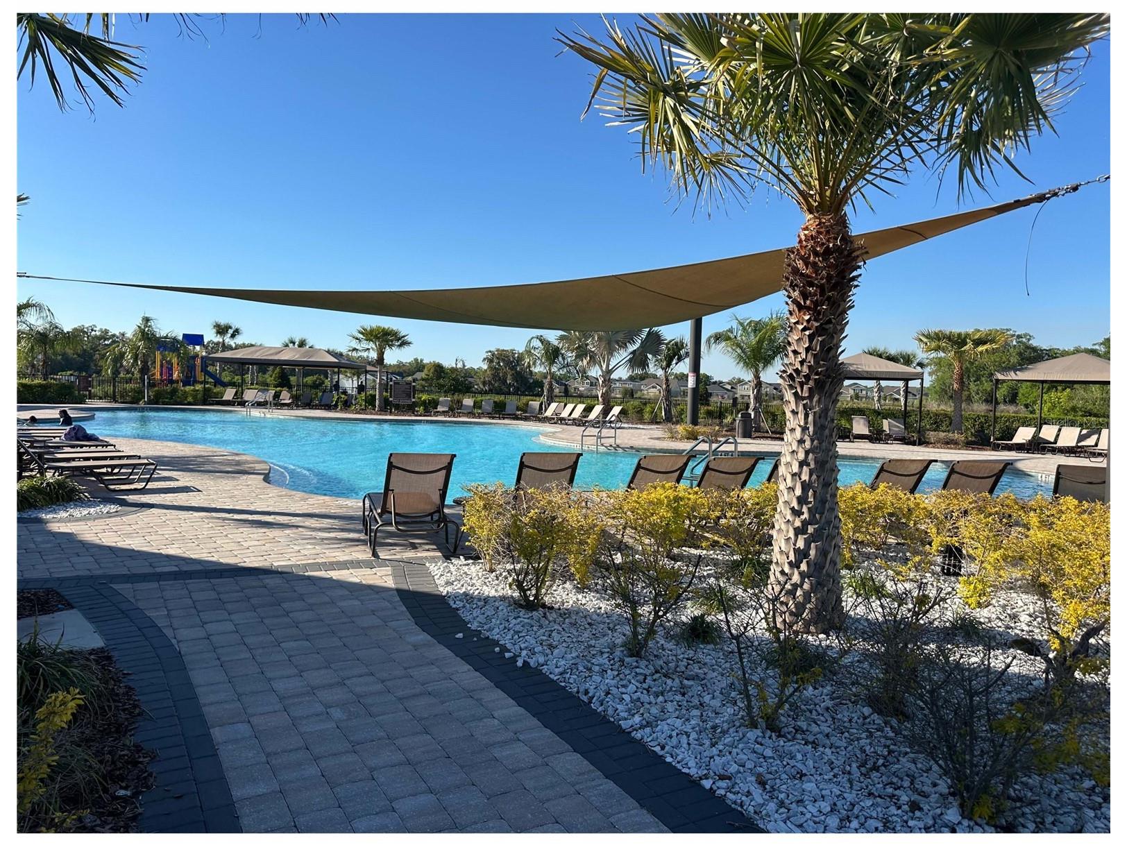 34276 Redwood Dawn Lane Wesley Chapel FL 33543 TB8487142 image30