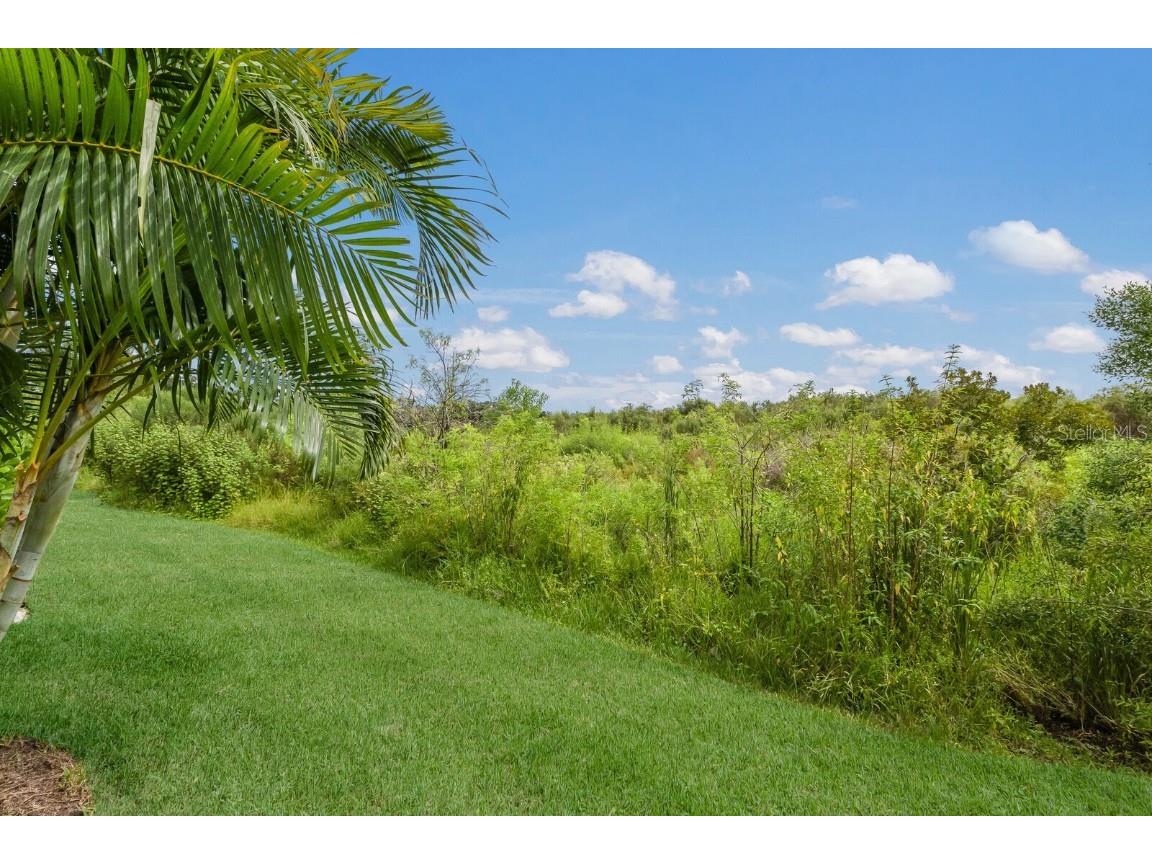 3428 92nd Avenue E Parrish FL 34219 A4662252 image60