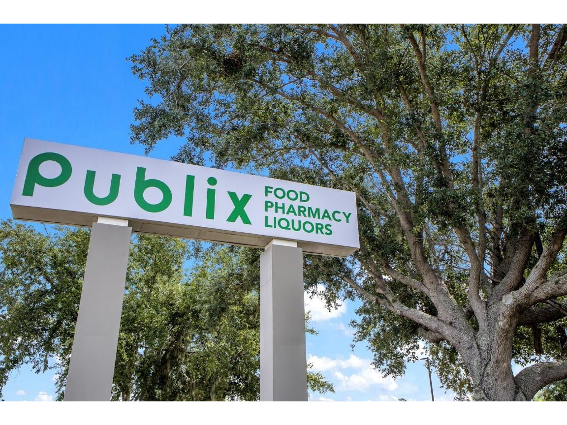 3428 92nd Avenue E Parrish FL 34219 A4662252 image66