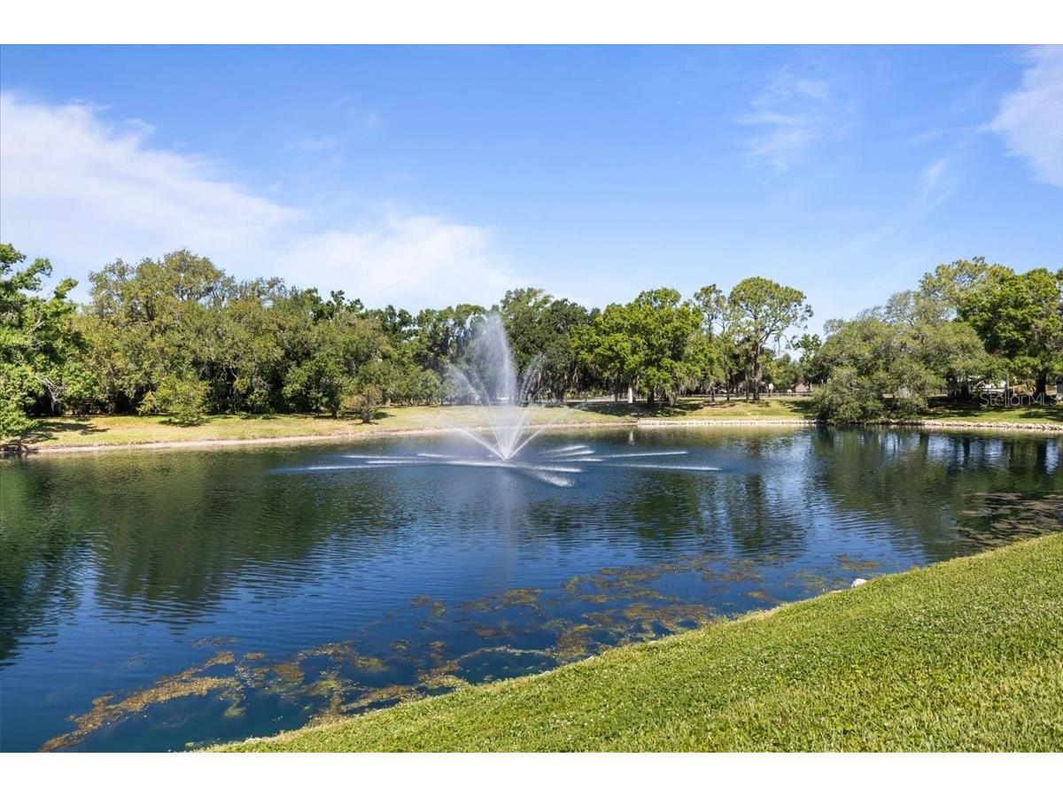 3428 Brookridge Lane Parrish FL 34219 TB8497400 image5