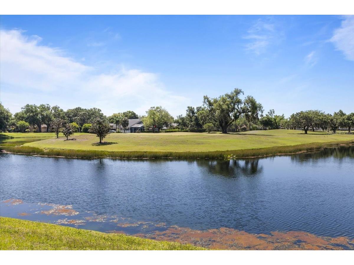 3428 Brookridge Lane Parrish FL 34219 TB8497400 image51
