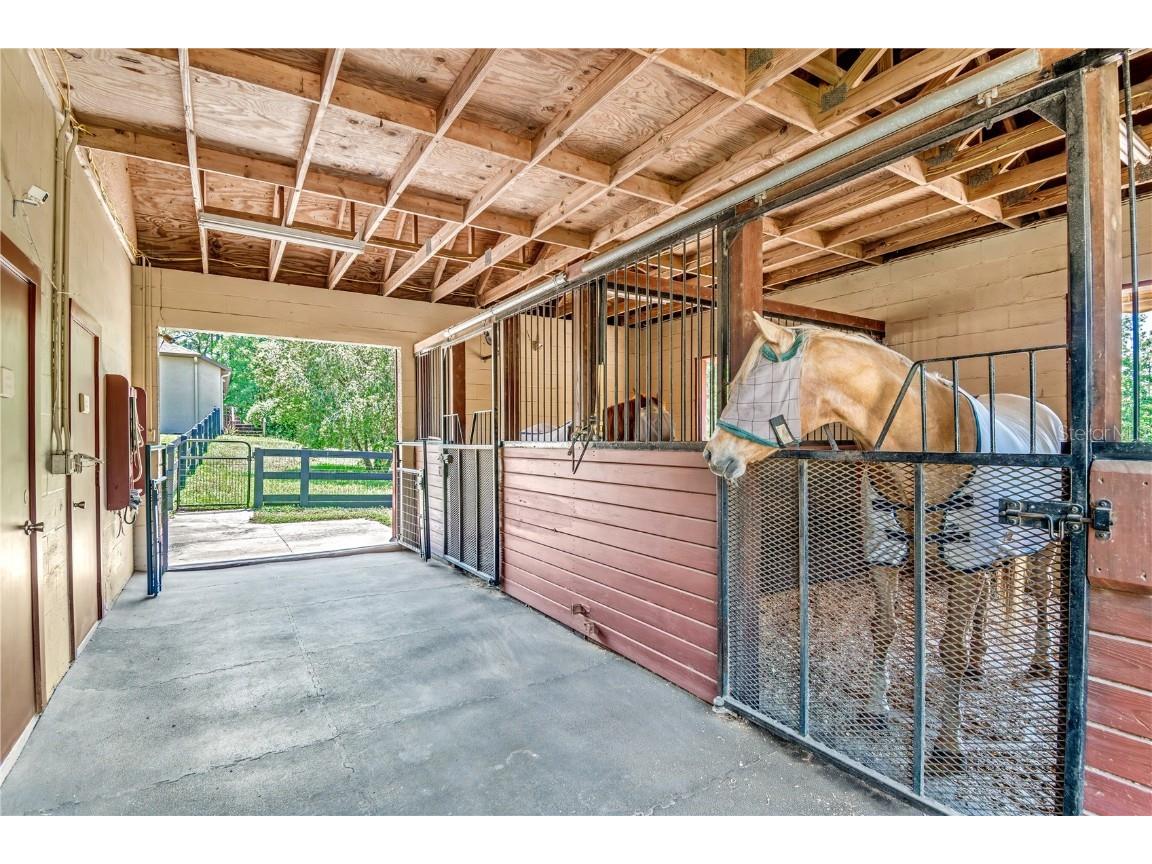 3428 N Bravo Drive Beverly Hills FL 34465 OM716170 image53