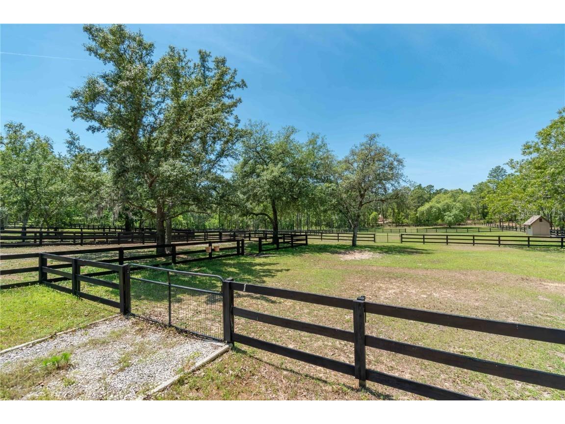 3428 N Bravo Drive Beverly Hills FL 34465 OM716170 image65