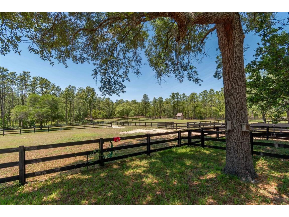 3428 N Bravo Drive Beverly Hills FL 34465 OM716170 image66