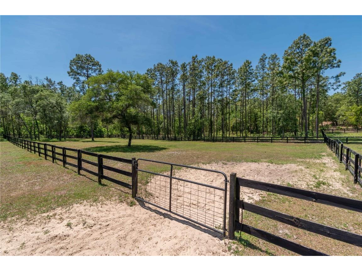 3428 N Bravo Drive Beverly Hills FL 34465 OM716170 image67