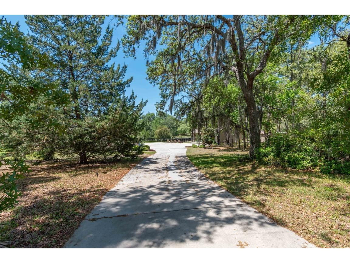 3428 N Bravo Drive Beverly Hills FL 34465 OM716170 image79