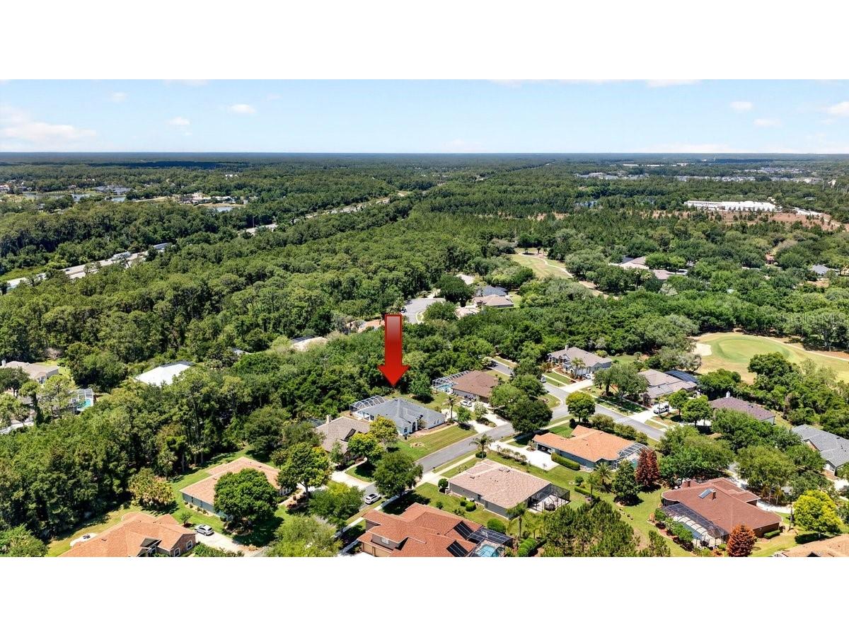 3428 Rexford Circle Ormond Beach FL 32174 FC318402 image54