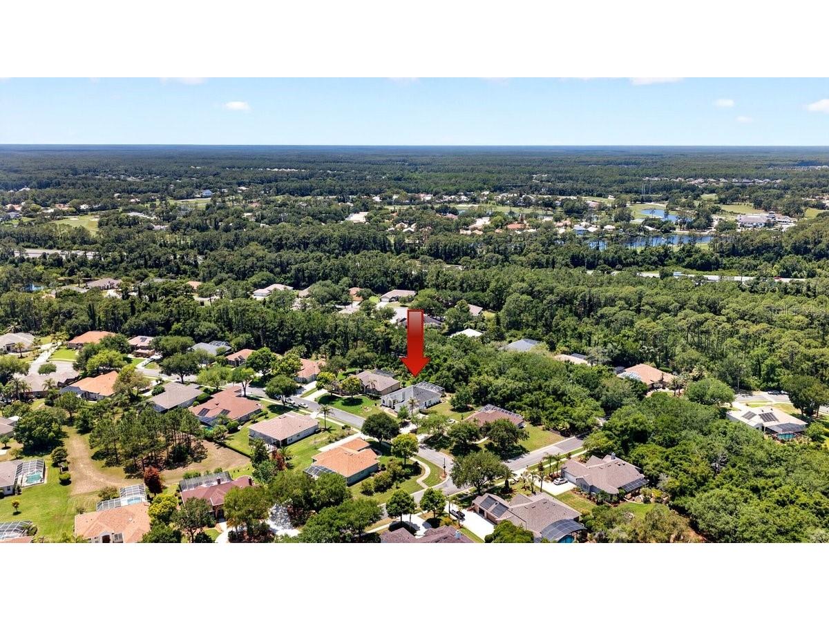 3428 Rexford Circle Ormond Beach FL 32174 FC318402 image55
