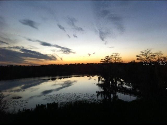 3428 Soho Street #302 Orlando FL 32835 - TURKEY LAKE O6308641 image25