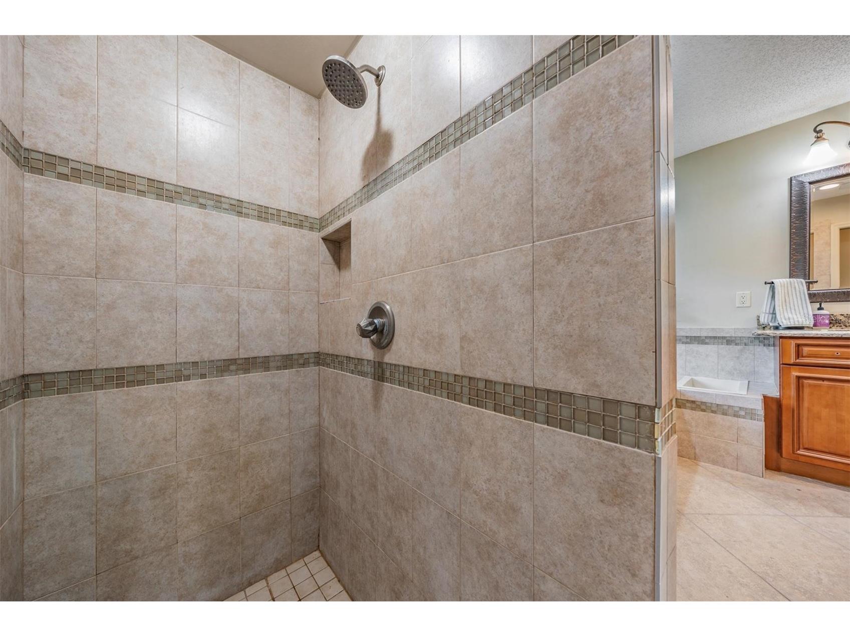3428 Valley Ranch Drive Lutz FL 33548 TB8495126 image25