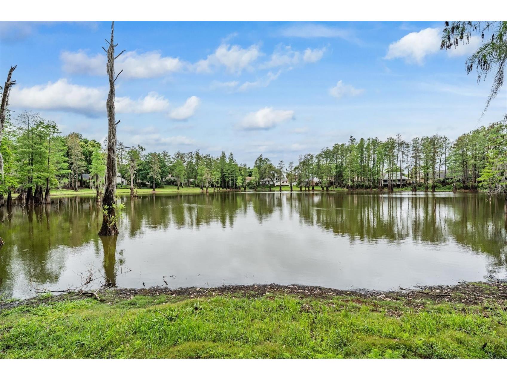 3428 Valley Ranch Drive Lutz FL 33548 TB8495126 image3