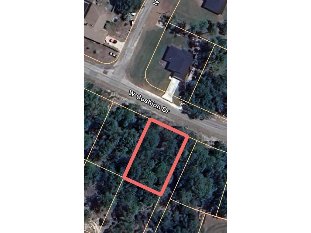 3428 W Cushion Drive Citrus Springs FL 34433 OM703047 image1