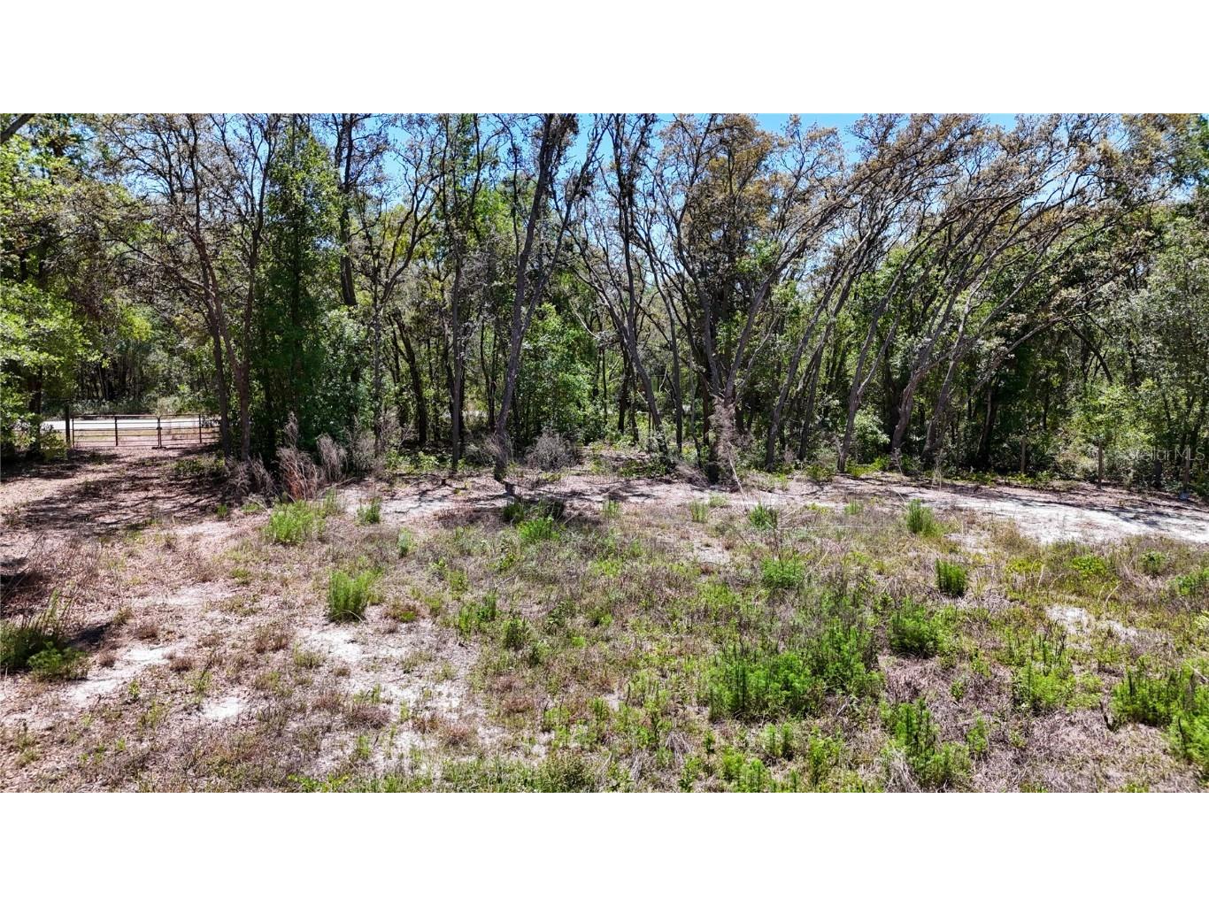 34281 Umbrella Rock Drive Webster FL 33597 C7509391 image10