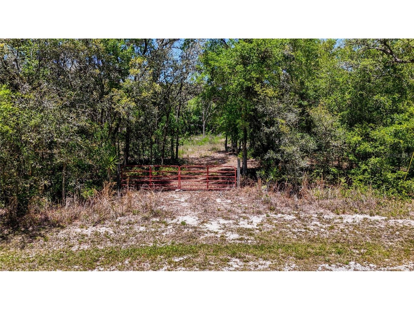 34281 Umbrella Rock Drive Webster FL 33597 C7509391 image11