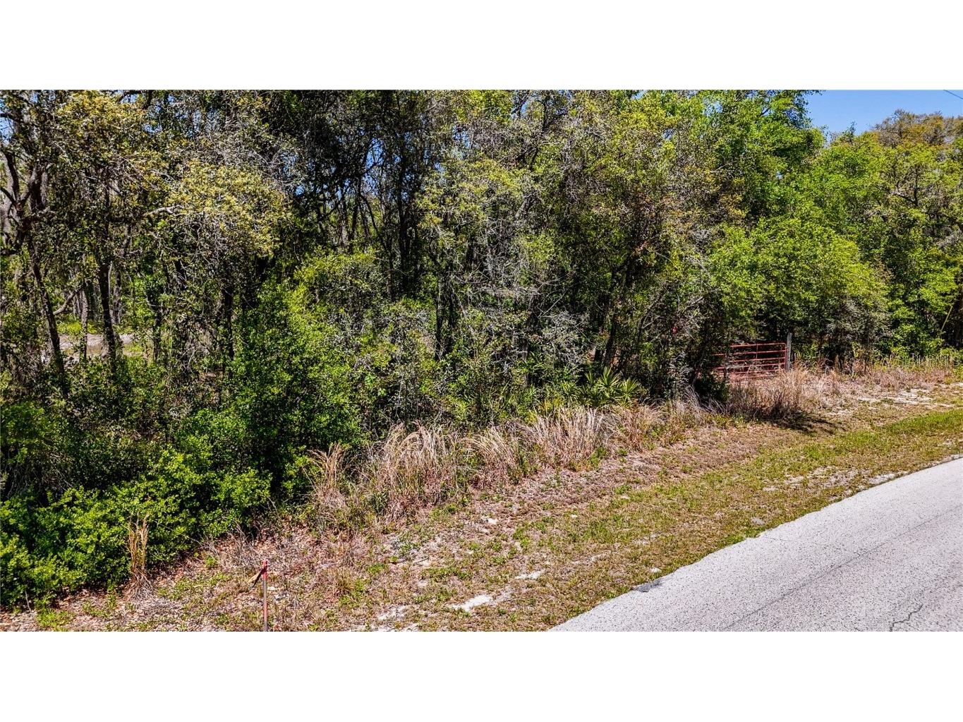 34281 Umbrella Rock Drive Webster FL 33597 C7509391 image2