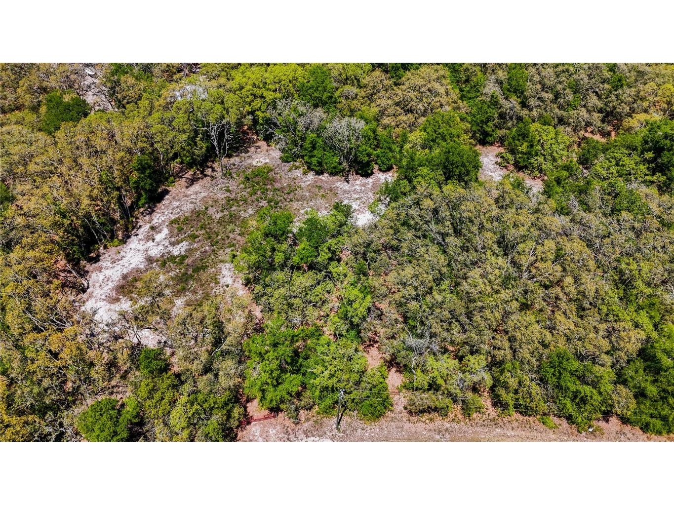 34281 Umbrella Rock Drive Webster FL 33597 C7509391 image3