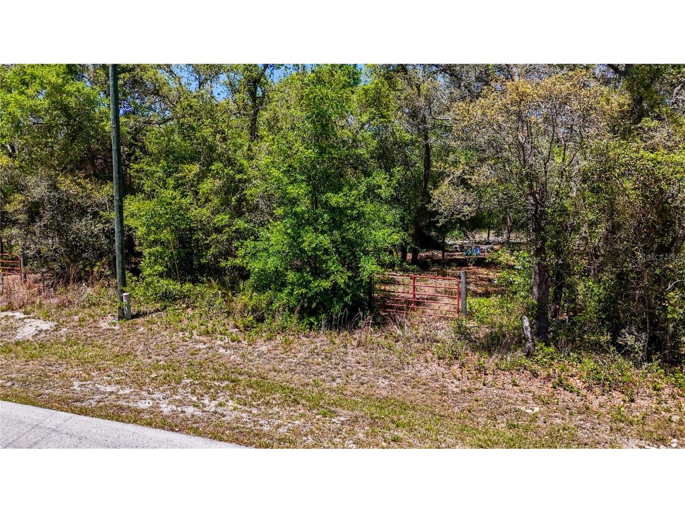 34281 Umbrella Rock Drive Webster FL 33597 C7509391 image4