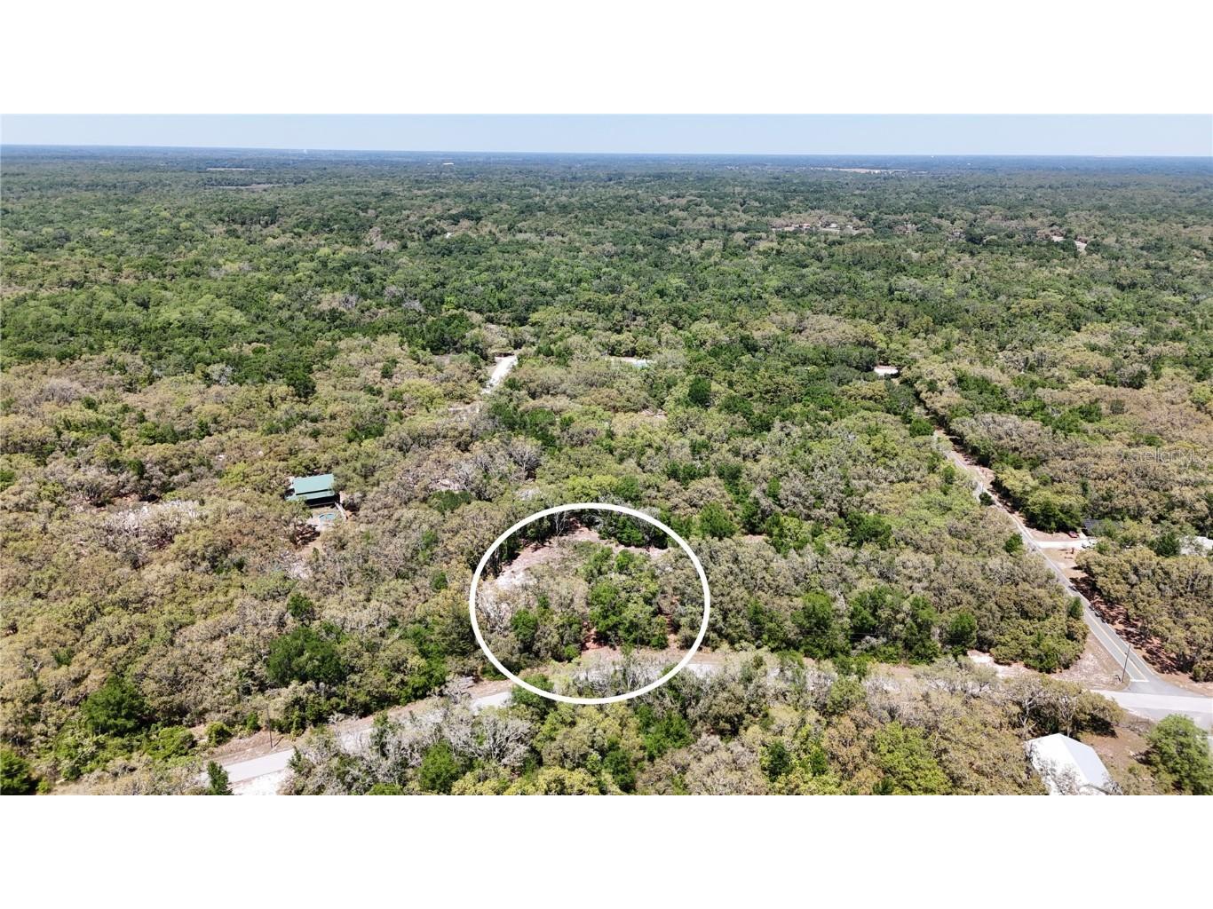 34281 Umbrella Rock Drive Webster FL 33597 C7509391 image5