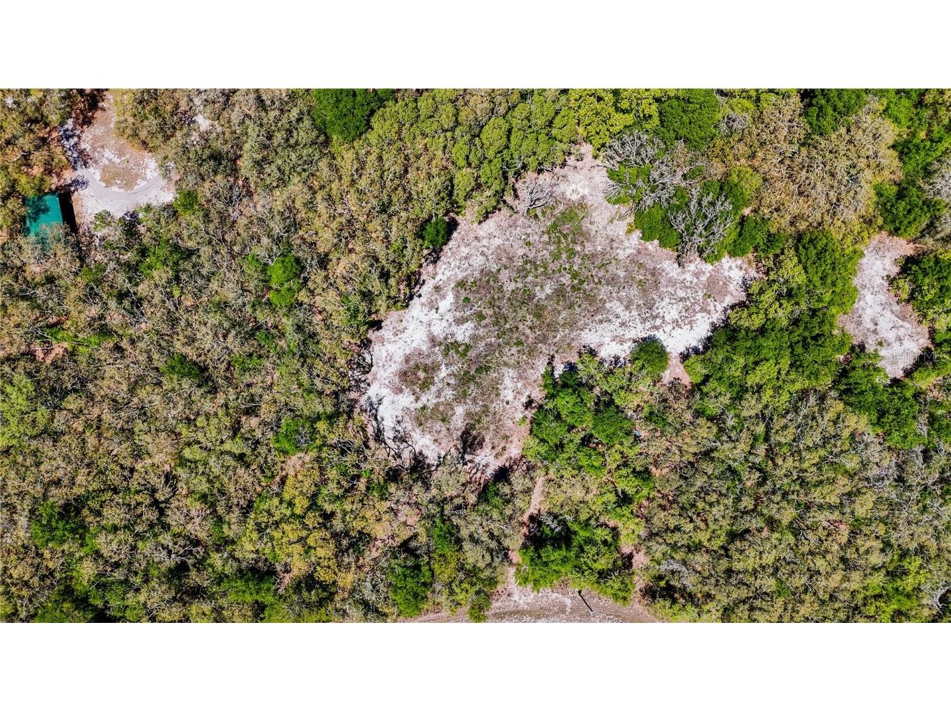 34281 Umbrella Rock Drive Webster FL 33597 C7509391 image7