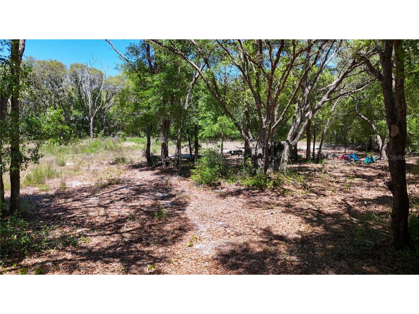 34281 Umbrella Rock Drive Webster FL 33597 C7509391 image8