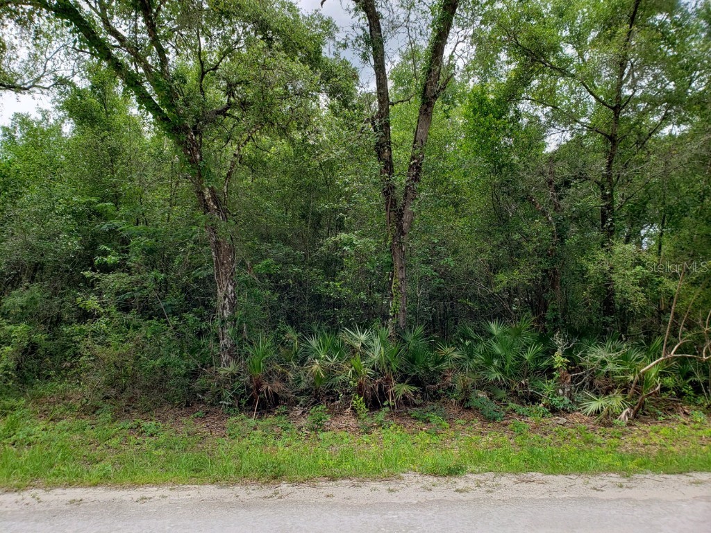 34284 Shaffer Drive Dade City FL 33523 T3378950 image1