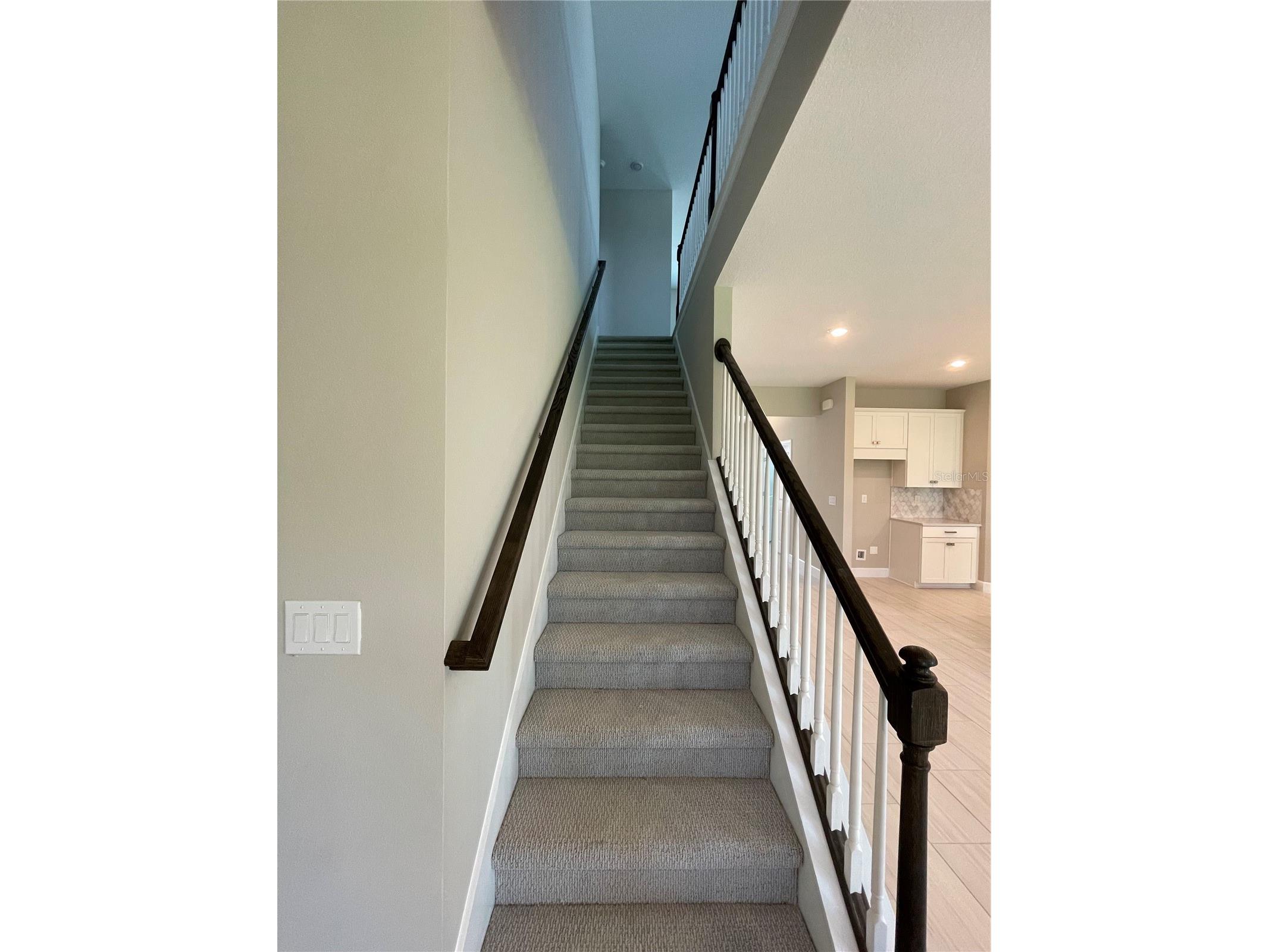 34286 Evergreen Hill Court Wesley Chapel FL 33545 TB8509029 image11