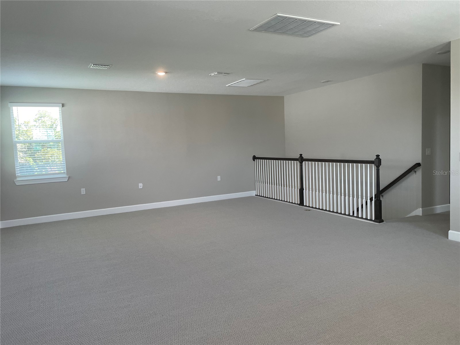 34286 Evergreen Hill Court Wesley Chapel FL 33545 TB8509029 image13