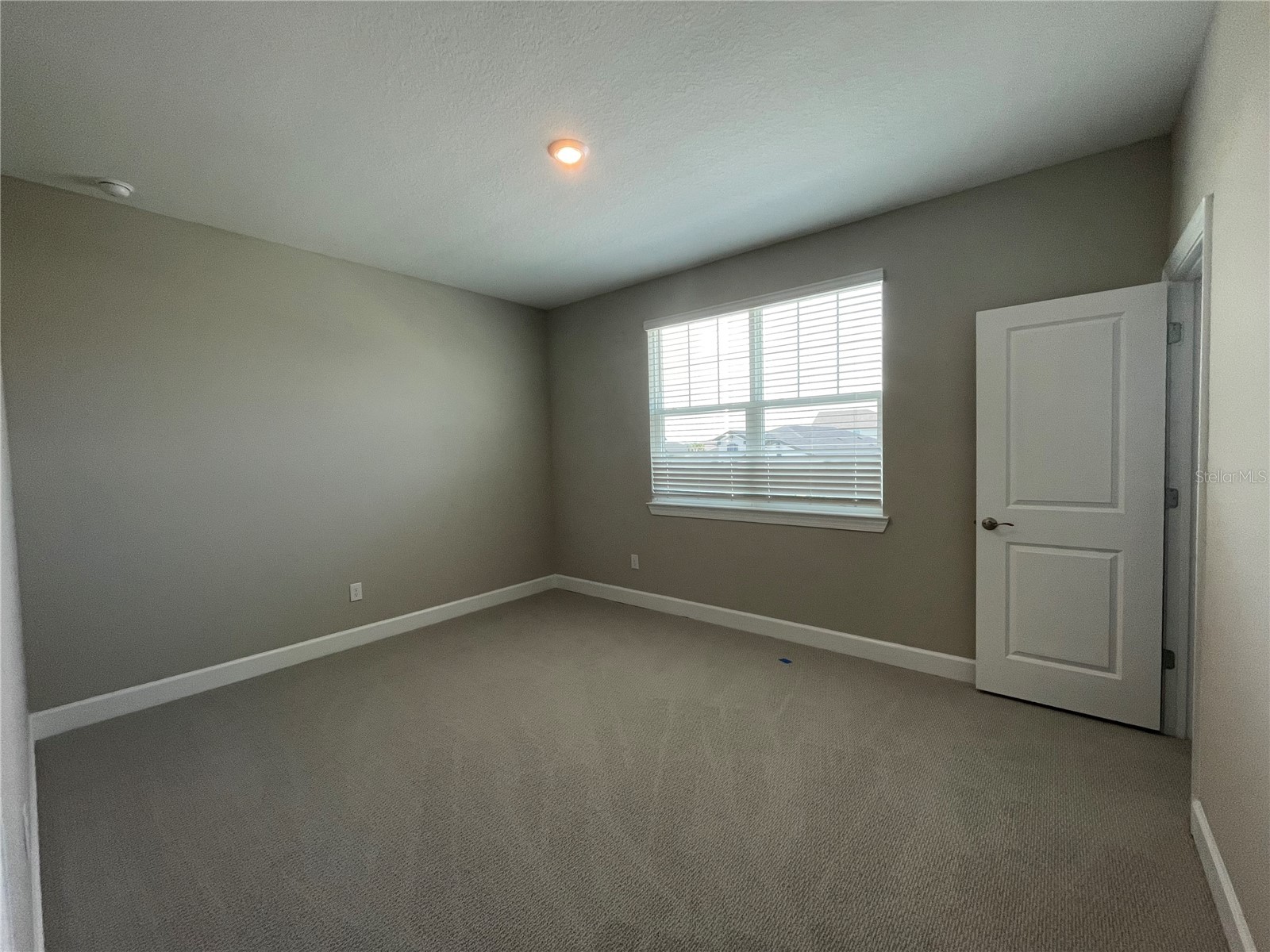 34286 Evergreen Hill Court Wesley Chapel FL 33545 TB8509029 image14