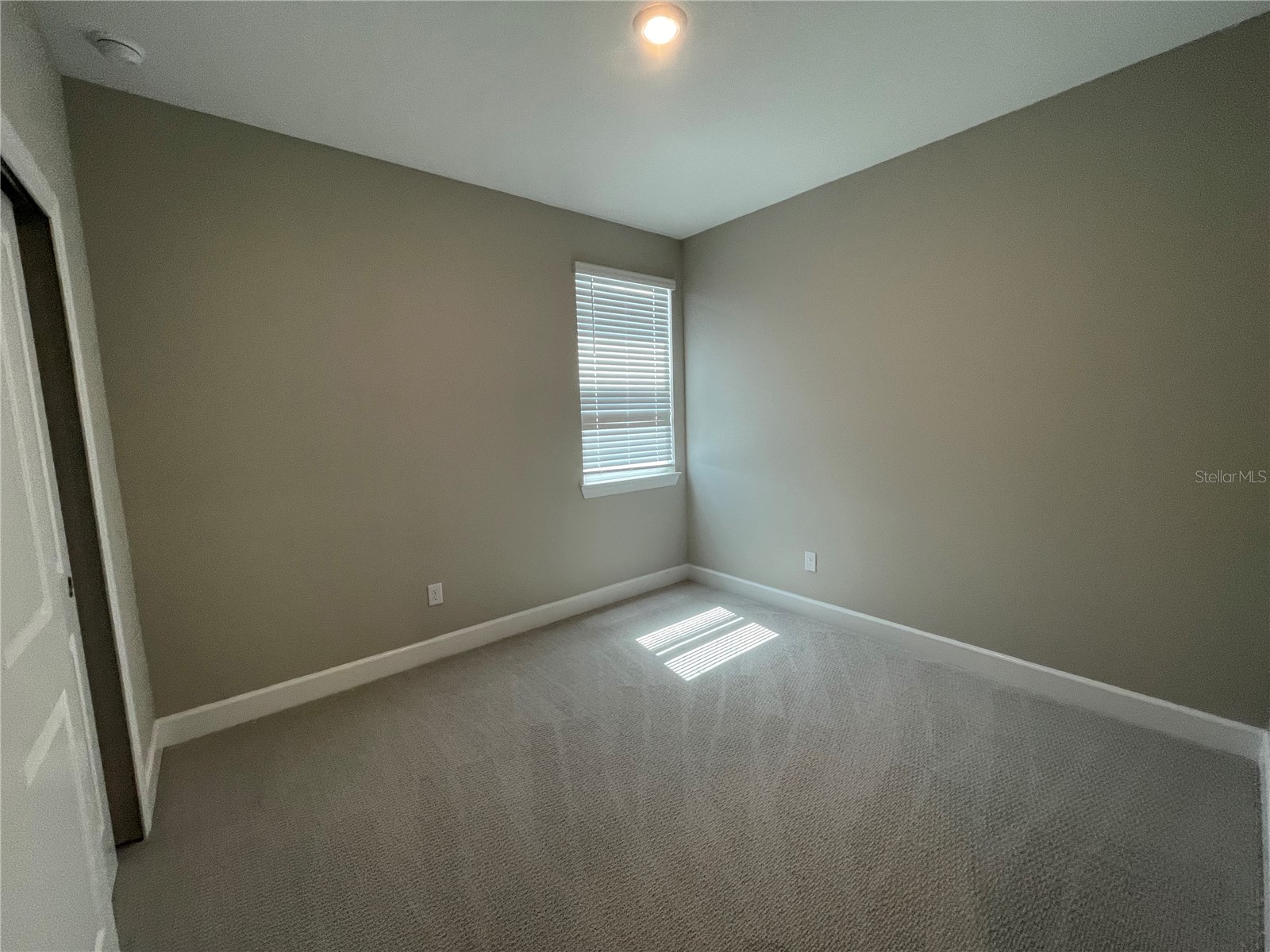 34286 Evergreen Hill Court Wesley Chapel FL 33545 TB8509029 image15