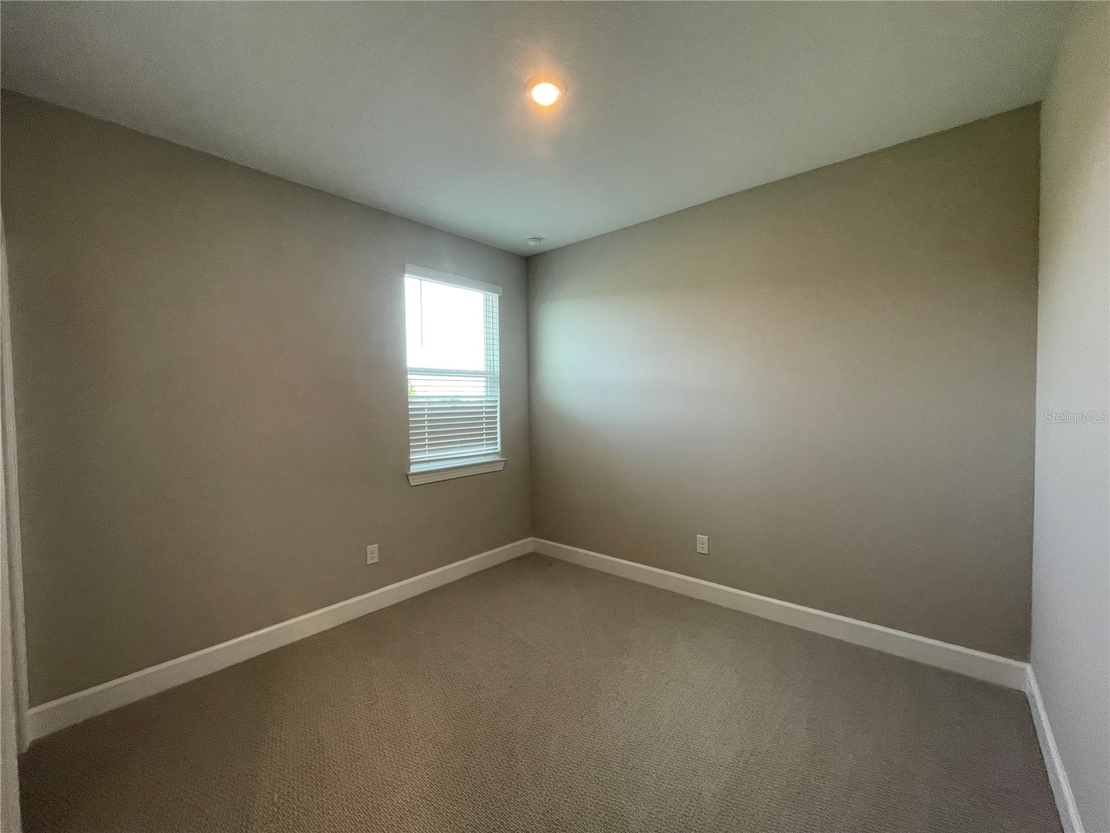 34286 Evergreen Hill Court Wesley Chapel FL 33545 TB8509029 image16
